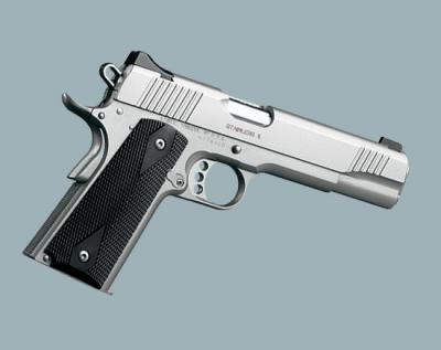 Kimber Custom II Stainless